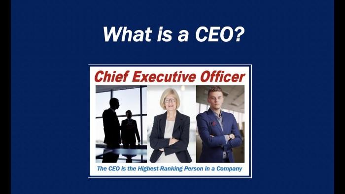 What is a CEO Small