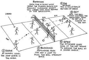 volleyball positions on court