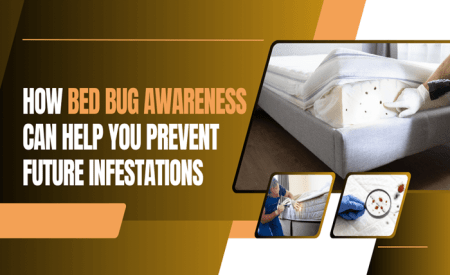 How Bed Bug Awareness Can Help You Prevent Future Infestations