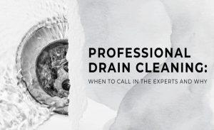 Professional Drain Cleaning: When to Call in the Experts and Why Professional Drain Cleaning When to Call in the Experts and Why