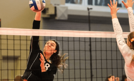 Spiking Strategies and Gaming Tactics: A Winning Combination for Volleyball Enthusiasts Screenshot 1 2