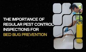 The Importance of Regular Pest Control Inspections for Bed Bug Prevention The Importance of Regular Pest Control Inspections for Bed Bug Prevention