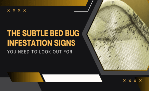 The Subtle Bed Bug Infestation Signs You Need to Look Out For The Subtle Bed Bug Infestation Signs You Need to Look Out For