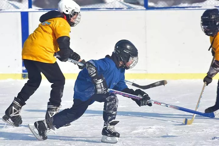 Kid Friendly Hockey Jokes