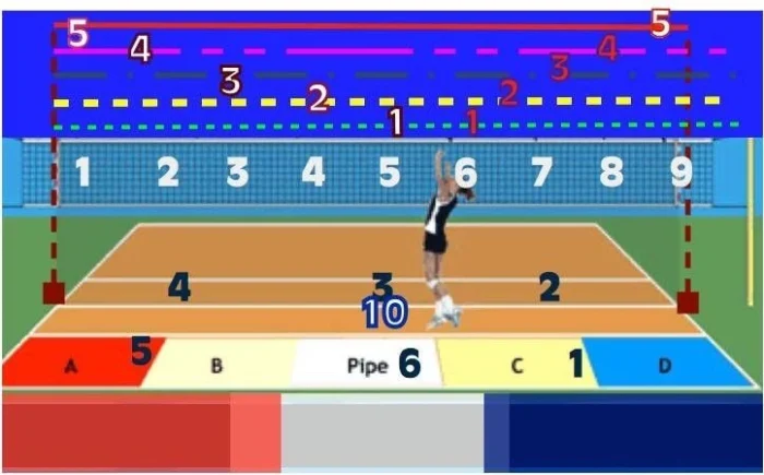 What Are Volleyball Court Numbers e1733725235728